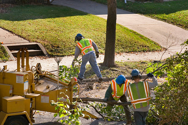 Best Utility Line Clearance  in Bull Run, VA